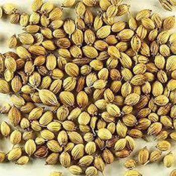 Coriander Total Extract