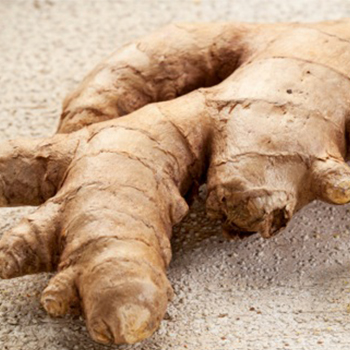 Ginger Oleoresin