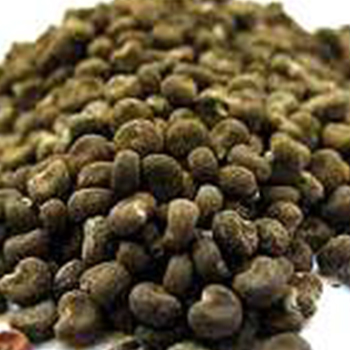 Ambrette Seed Extract