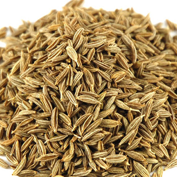 Cumin Seed Total Extract